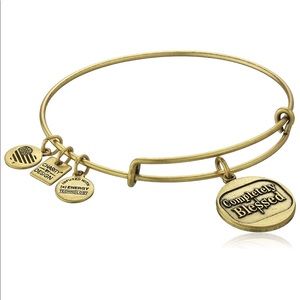 Alex and Ani Bangle Bracelet
